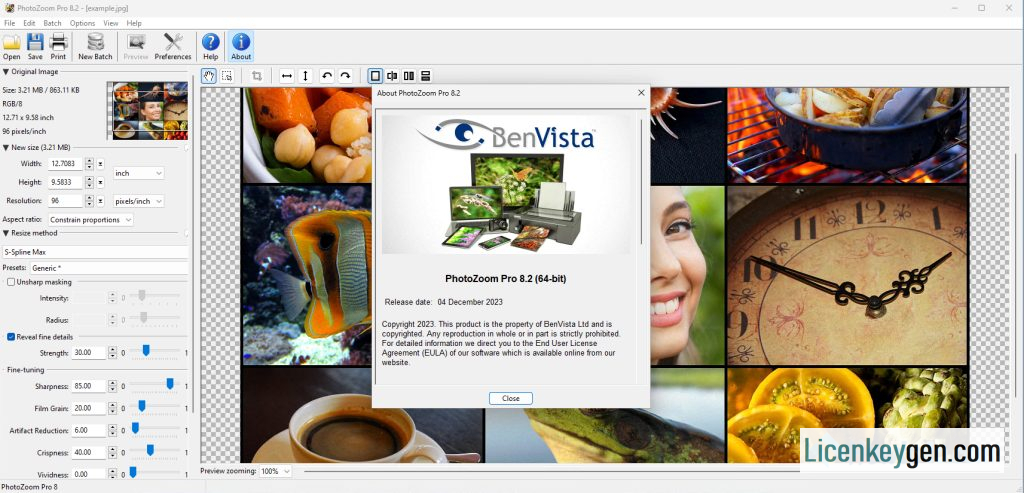 Benvista PhotoZoom Pro v8.2.0 Crack + License Key