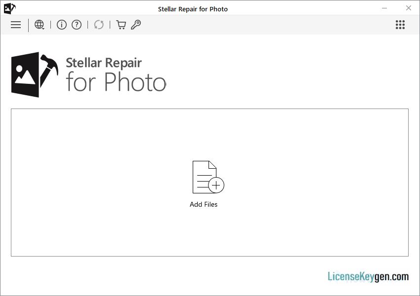 Stellar Repair for Photo 8.7.0 Crack + License Key